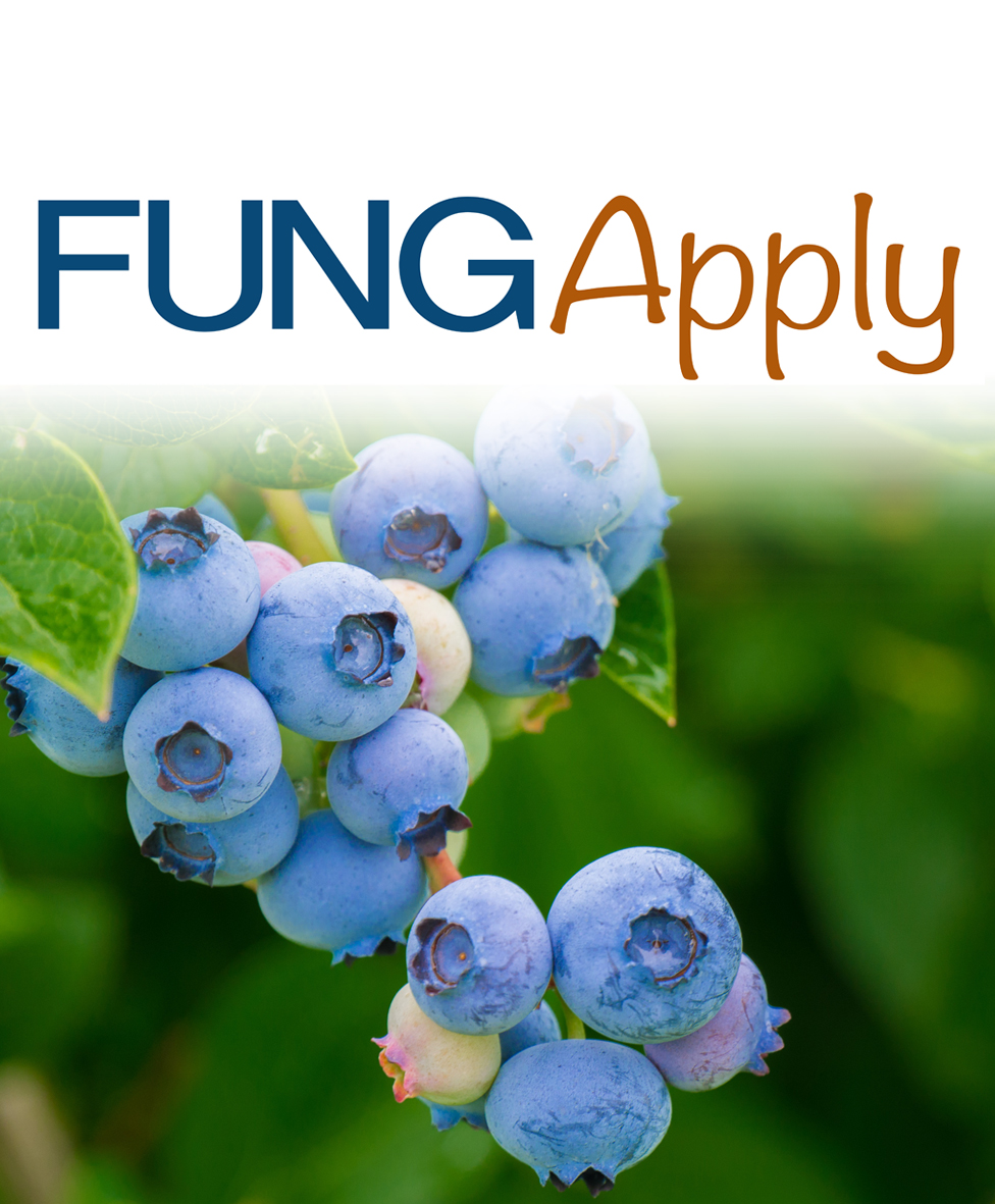 FUNG-Apply ECO - PB-102